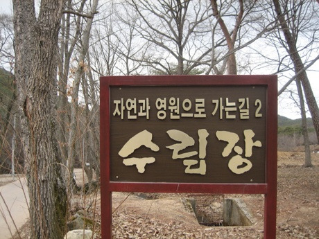 수림장 이미지